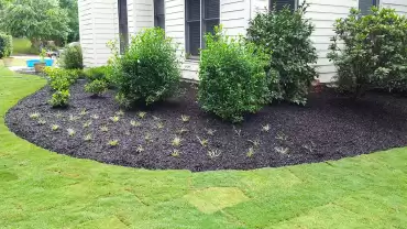 Mulch