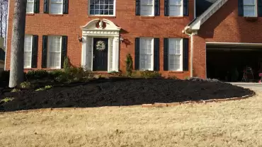 Topsoil for Grass