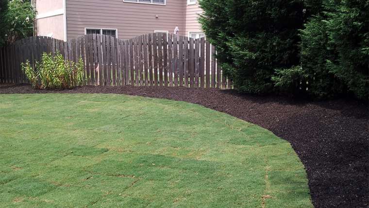 Use pine straw or mulch: What is better?