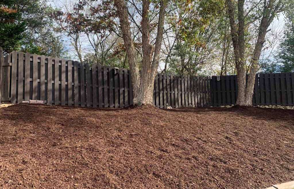 Mulch and Topsoil: Give Plants the Most Nutrients