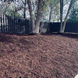 Mulch and Topsoil Give Plants the Most Nutrients