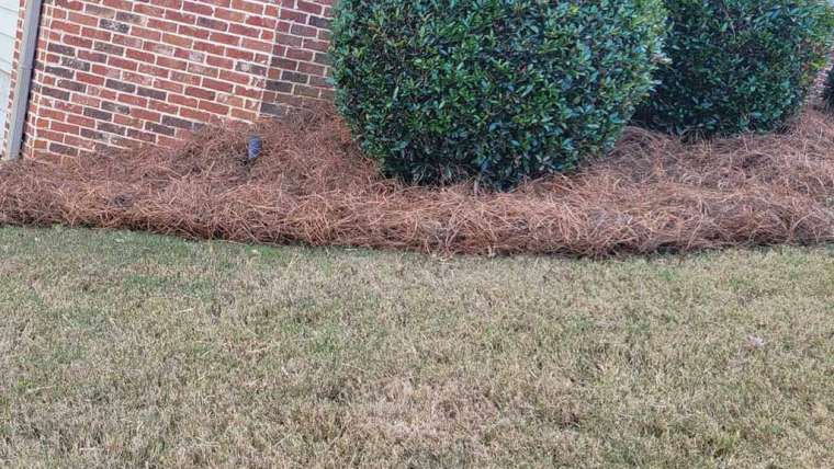 Lawrenceville Landscape Supply: Mulch and Pine Straw