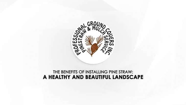 The Benefits of Installing Pine Straw: A Healthy and Beautiful Landscape
