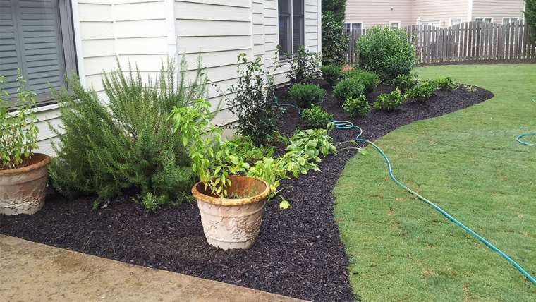 Maximizing Your Garden’s Potential: Tips for Professional Garden Maintenance