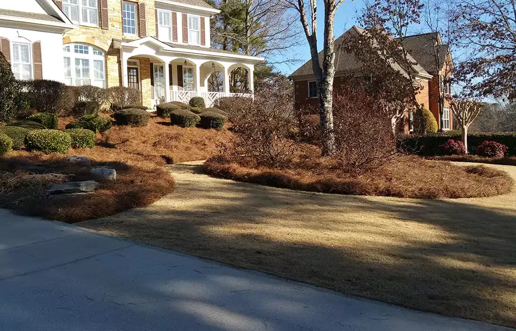 The Importance of Mulch in Garden Maintenance