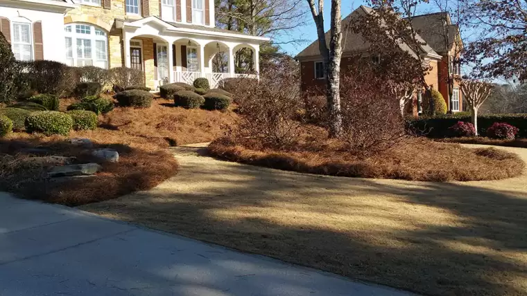 The Importance of Mulch in Garden Maintenance